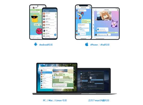 获取Telegram下载直接链接