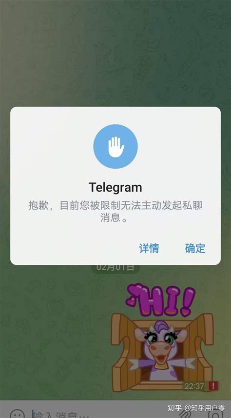 全面掌握：Telegram聊天使用技巧与隐私保护策略