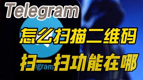 Telegram下载指南：一步步教你快速安装和设置