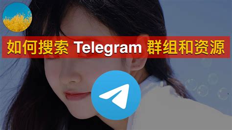 电报群组中海外华人的信息传播与风险应对策略